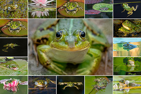 Fotoausstellung "Verwunschene Prinzen"