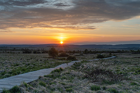 Reisen & Landschaft: Hohes Venn (Belgien)